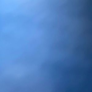 Meet your Posher, Tabitha